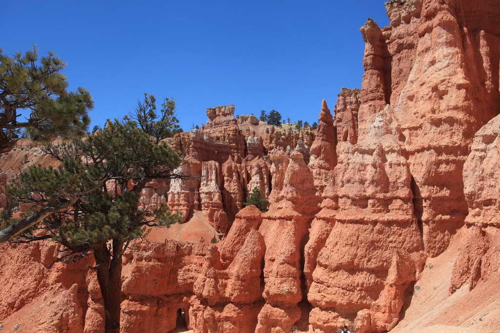Bryce Canyon NP